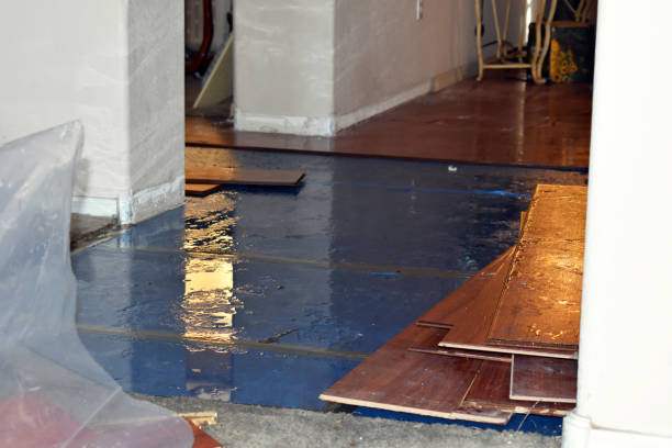 Professional Basement Flooding technician working in Fayville, MA